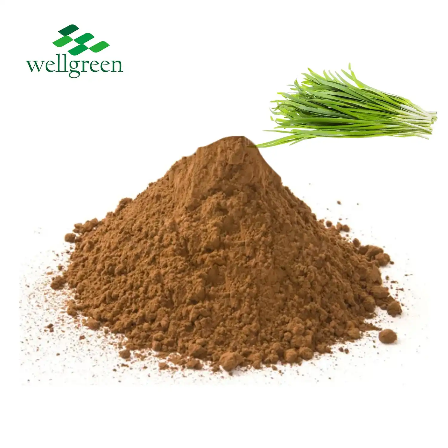 What is Leek Seed Extract Good For?